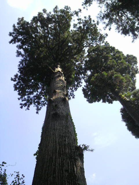 2009091713370000.jpg