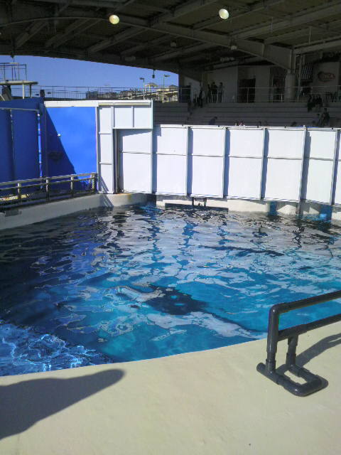 2009110313350000.jpg