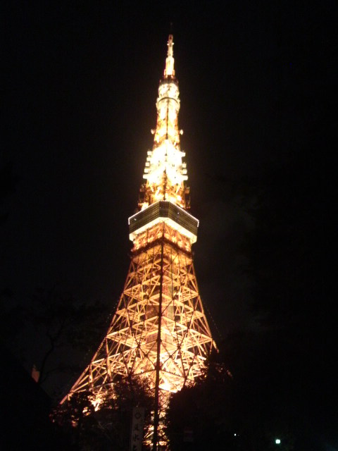 2009120217390000.jpg