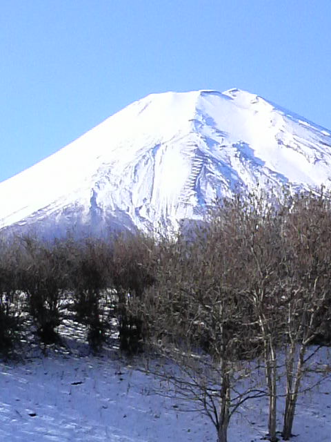 P1010241.jpg