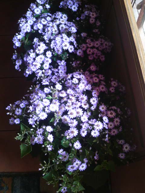 2010020211340001.jpg