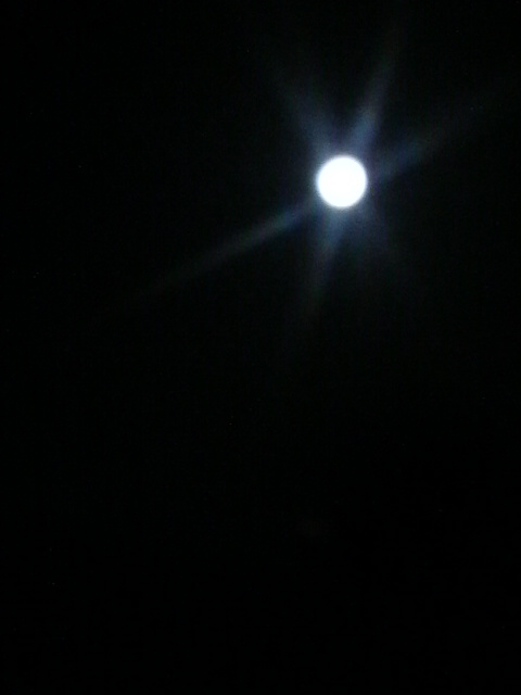 2010033003480000.jpg