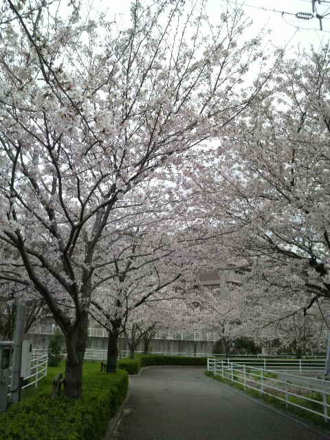 2010040415230000.jpg