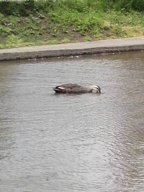 2010052712430000.jpg