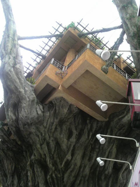 2010053111060000.jpg