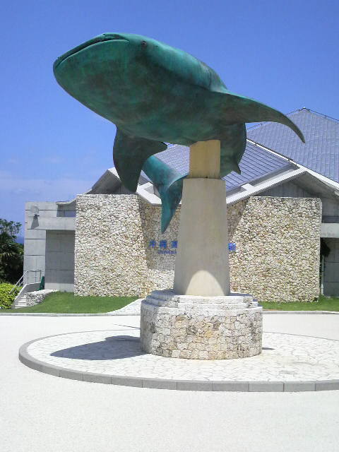 2010060110590000.jpg