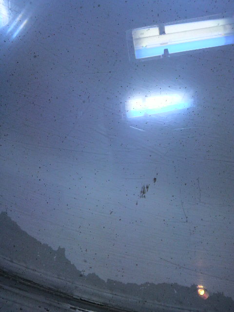 2010060111070000.jpg