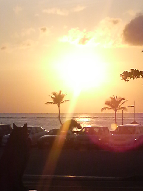 2010060118590000.jpg