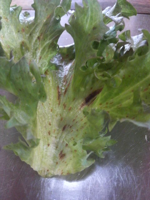 2010090410290000.jpg