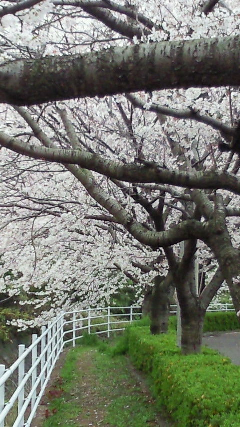 201303261641000.jpg